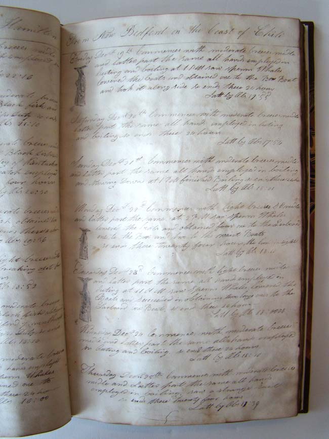 A HISTORICALLY IMPORTANT Whaling Log Book from the ship William Hamilton of New Bedford recording its' Pacific Ocean whaling expedition from 1834 to 1837. — image 5